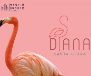 Diana, Lotes de inversión, Santa Clara